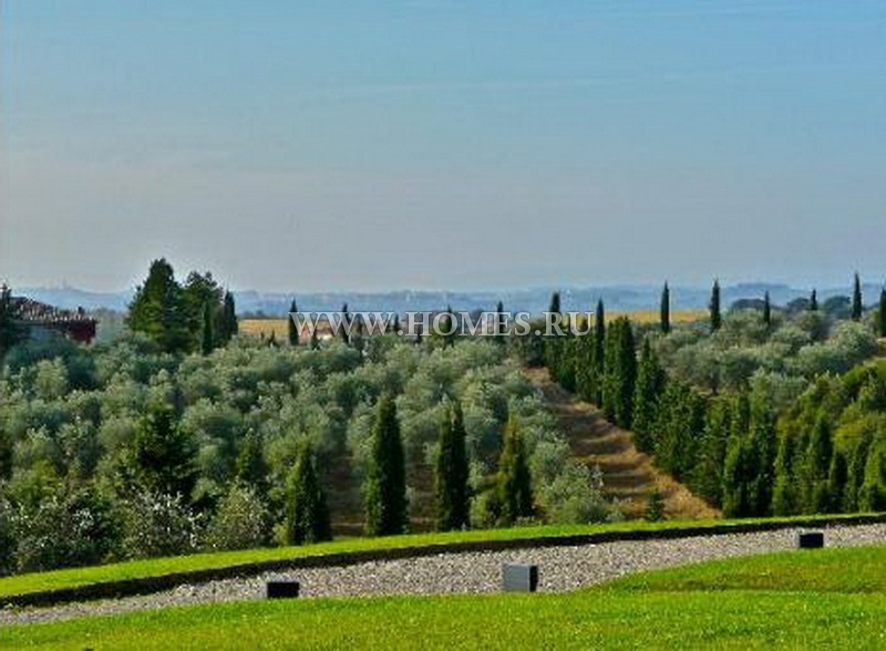 Виноградник в Кьянти, Тоскана