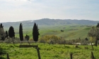 Земельный участок в Тоскане