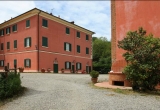 Производство вина и оливкового масла в Тоскане