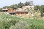 Производство вина в Тоскане