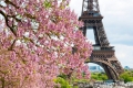 Париж - самый дорогой рынок для сдачи недвижимости в аренду