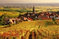 Франция: названы регионы с самым высоким ростом цен на землю