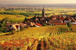 Новости рынка → Франция: названы регионы с самым высоким ростом цен на землю